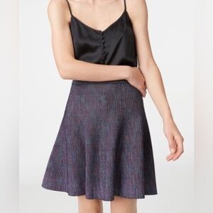 Club Monaco Skater Skirt